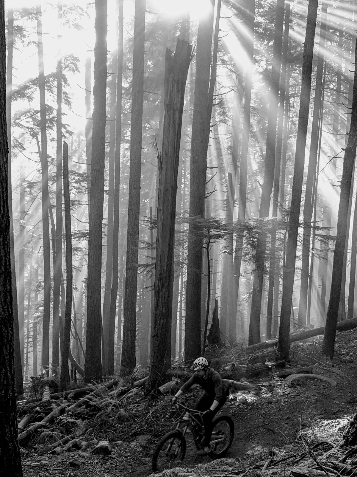 Tale #4: by Ryan Kitchen